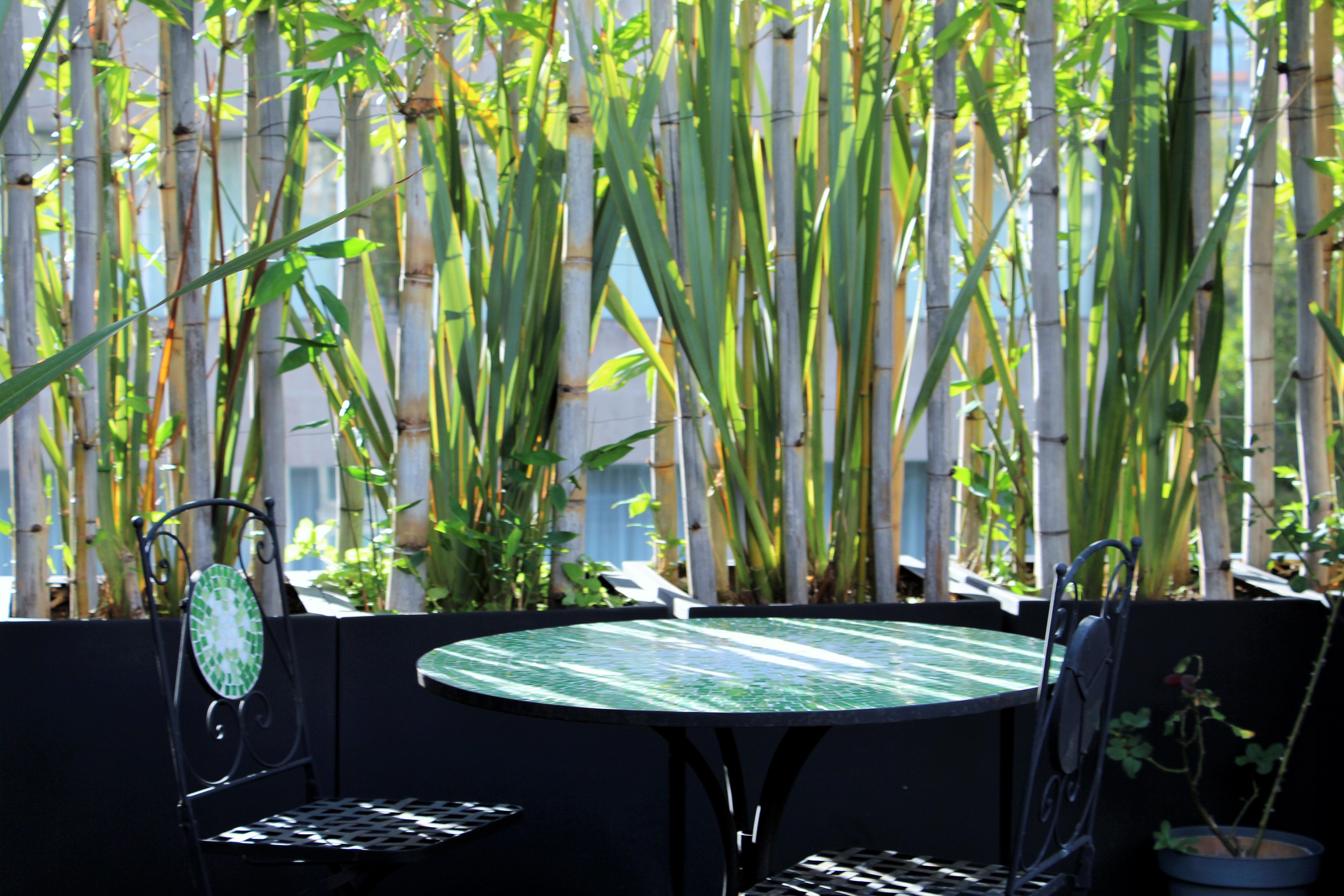 Residence L' Heritage Hipolito Taine By Bluebay Mexico by Eksteriør bilde